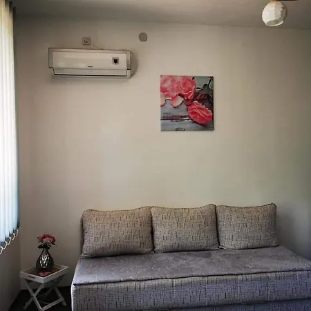 Luka 2 Apartment Soko Banja